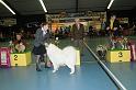 kerstshow 2008 051